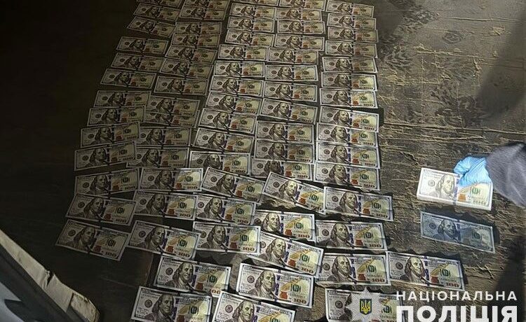 На Тернопільщині чоловік за 8200 доларів обіцяв оренду ставка