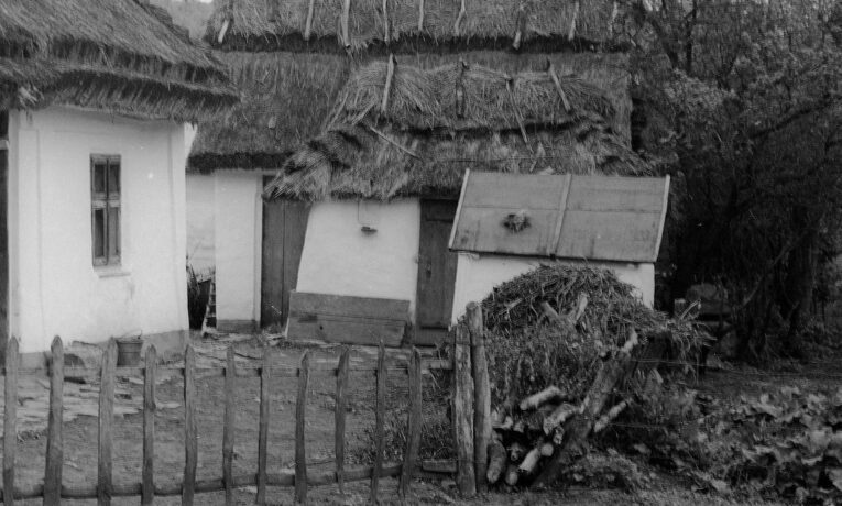 Хата на Поділлі: ретро фото 1920-х