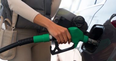 На Тернопільщині АЗС отримала штраф 365 тисяч гривень