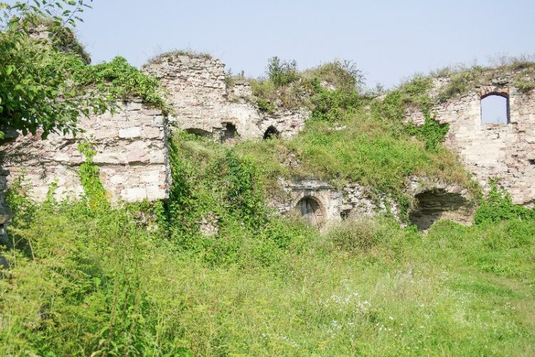 Язловецький замок