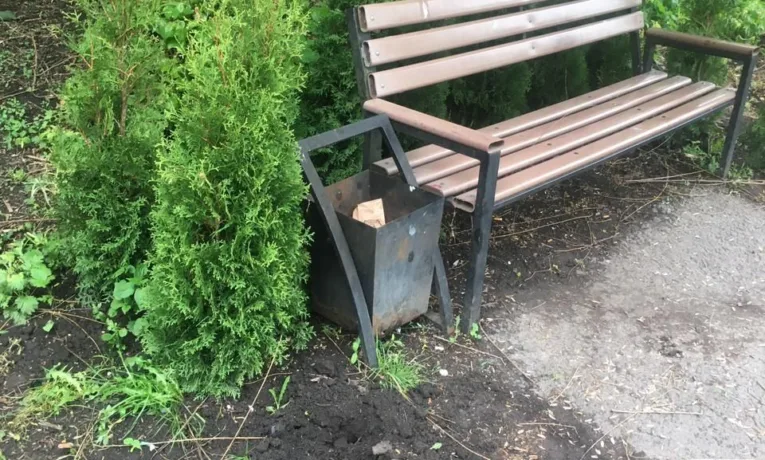 На набережній Ланівців вандали пошкодили декоративні насадження