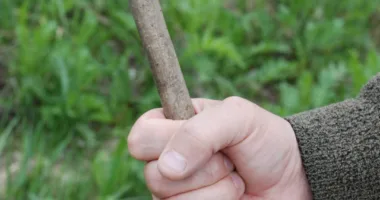 Убив безхатька через малину: до 8 років тюрми засудили жителя Почаєва