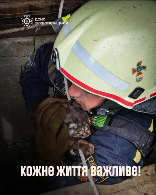 рятувальники визволили кота з криниці