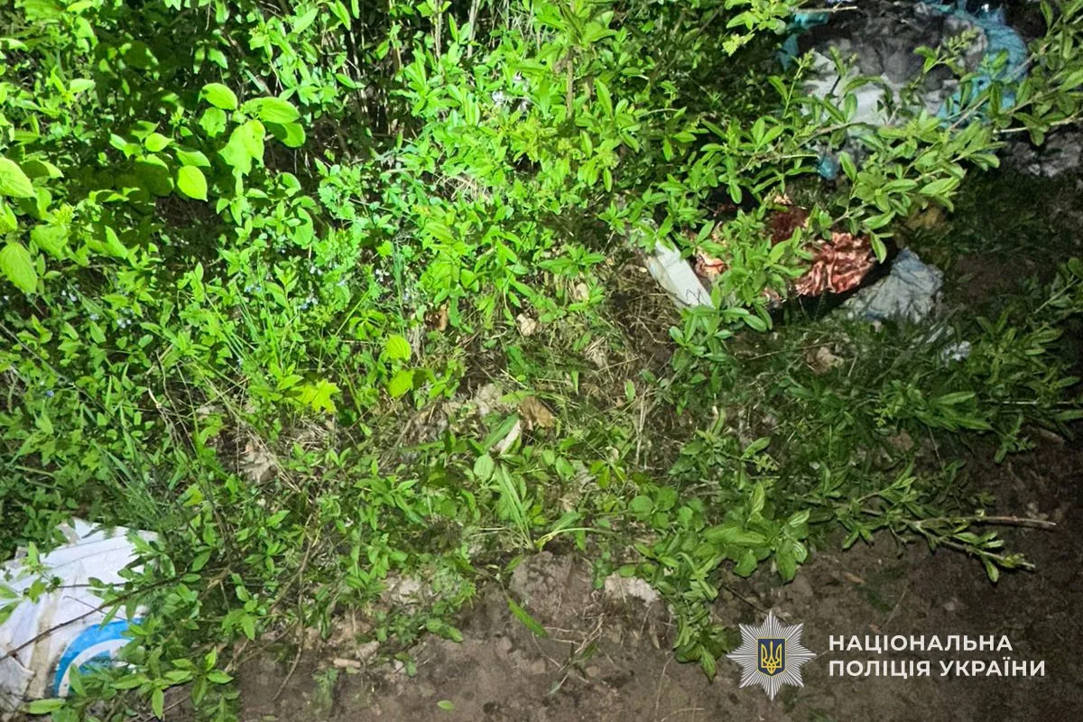 Тернополянка намагалася викопати кущі із парку для своєї дачі