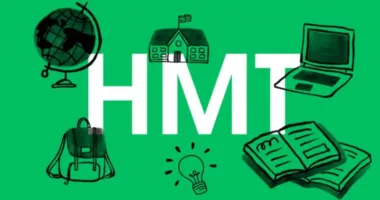 Випускники тернопільських шкіл вражають високими результатами на НМТ-2025