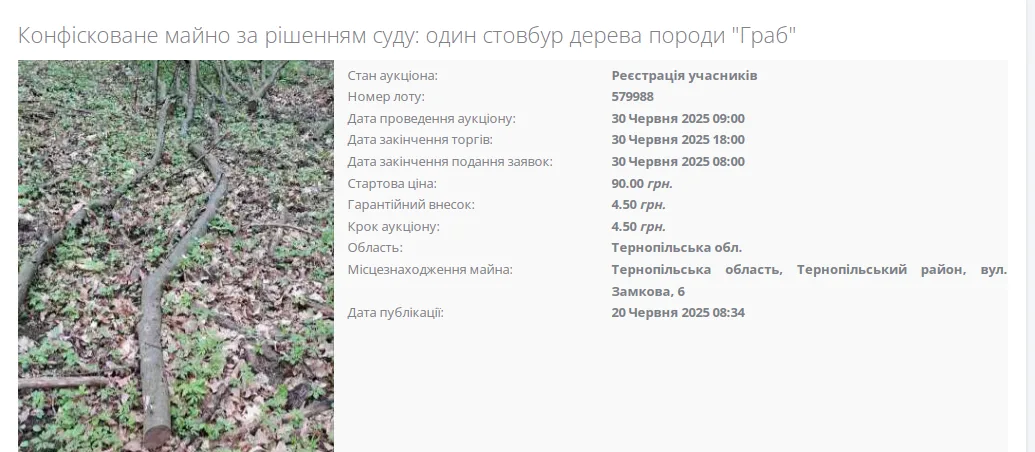 У боржника з Тернопопільщини конфіскували шмат дерева
