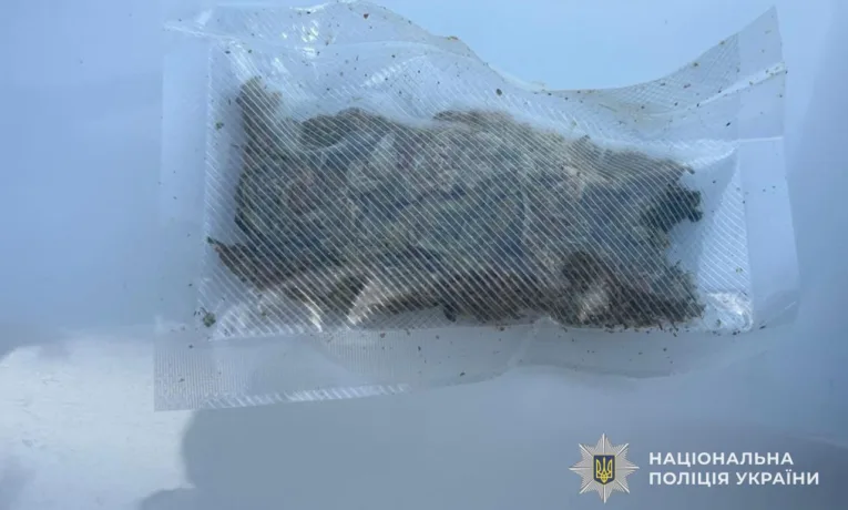 наркотики в котячому кормі