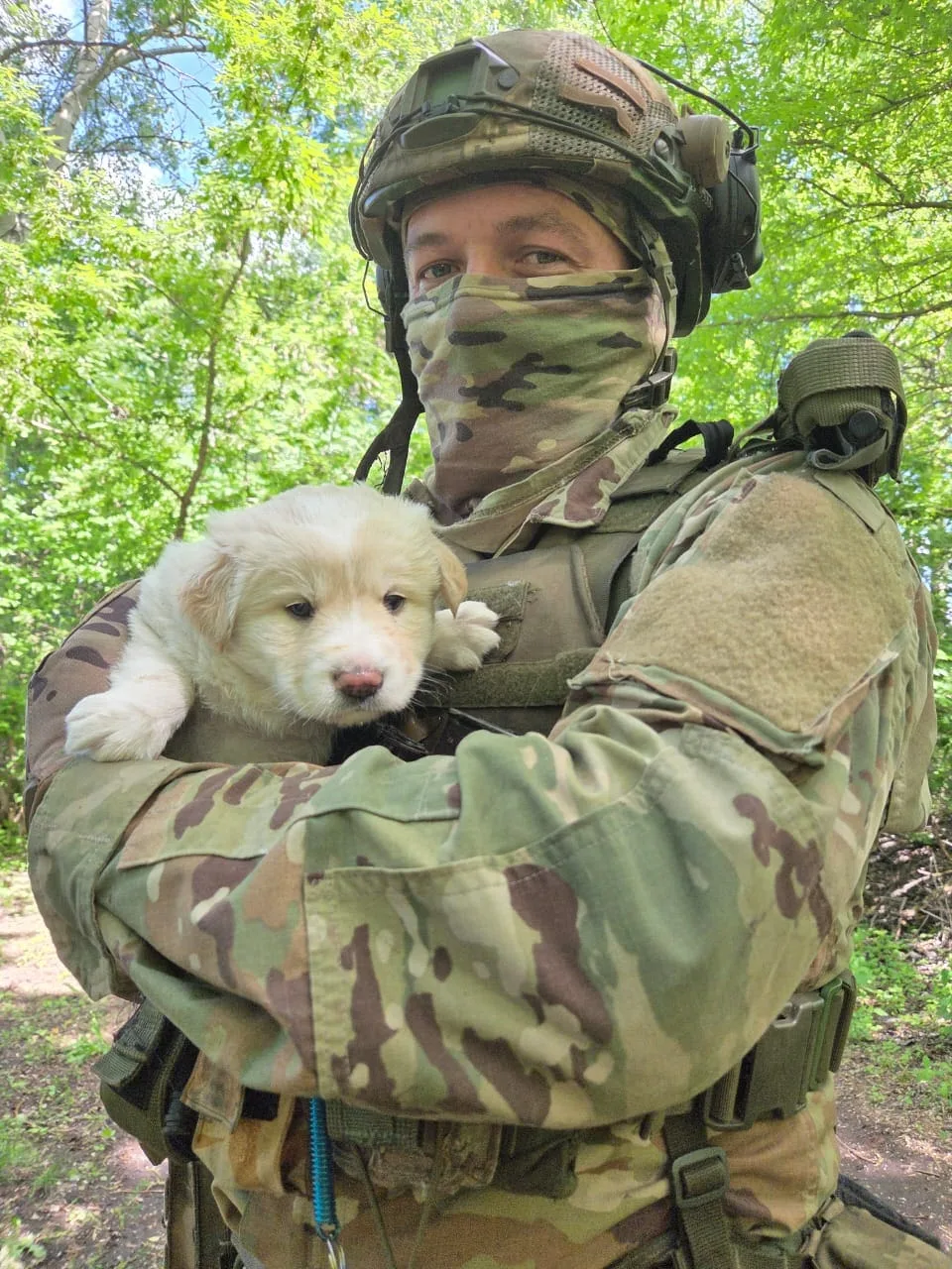 Полкан 105 бригада