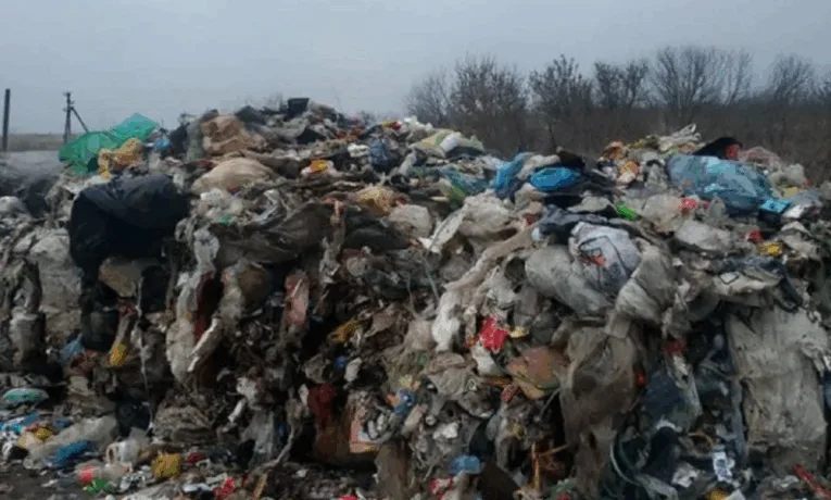 На Тернопільщині селищна рада за шкоду довкіллю примусово сплатила майже 5 млн грн