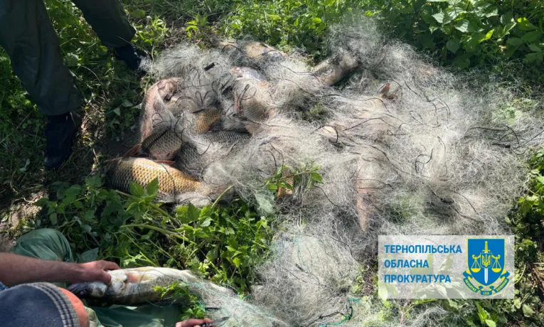 За незаконний вилов риби на суму понад 328 тис грн судитимуть жителя Тернопiльського району
