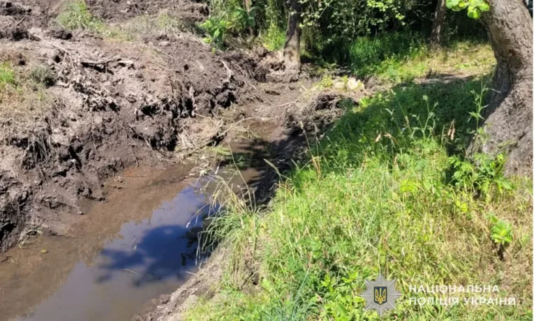Розчистив потічок