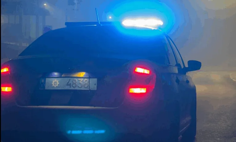 Шквальний вітер на Тернопільщині: понад 100 населених пунктів знеструмлено, повалені дерева та зруйновані лінії електропередач
