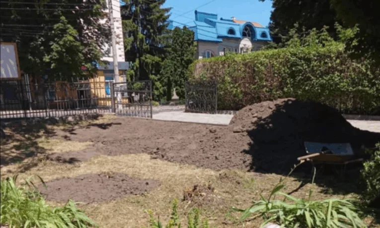 Калинову алею вирубали біля мистецької школи у Чорткові