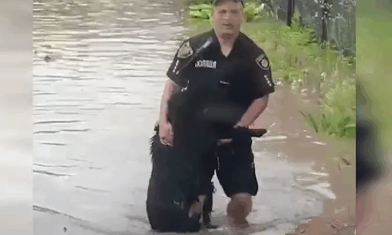На Тернопільщині правоохоронець витягнув собаку з води під час підтоплення