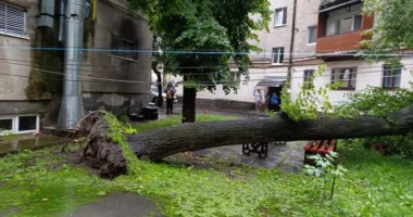 Потоп у Тернополі: злива затопила місто і повалила дерево в центрі