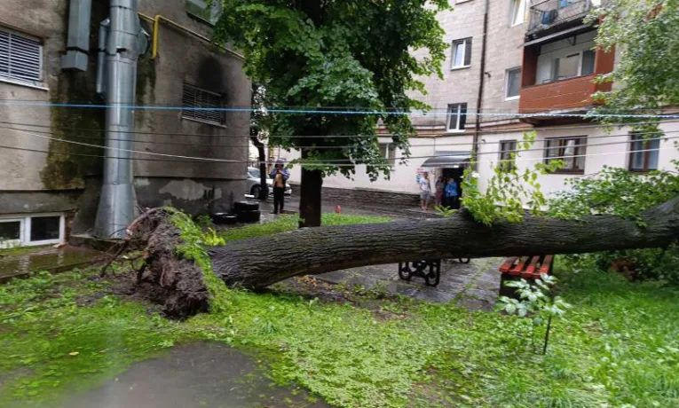 Потоп у Тернополі: злива затопила місто і повалила дерево в центрі