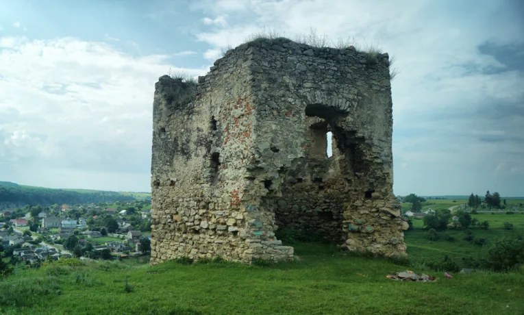 Висіцький замок