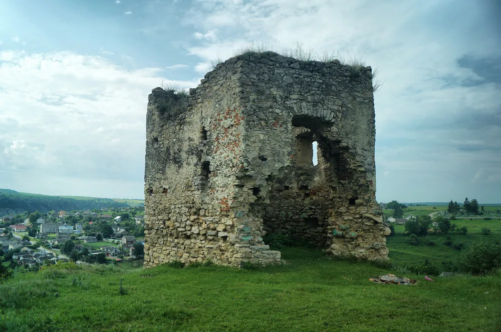 Висіцький замок
