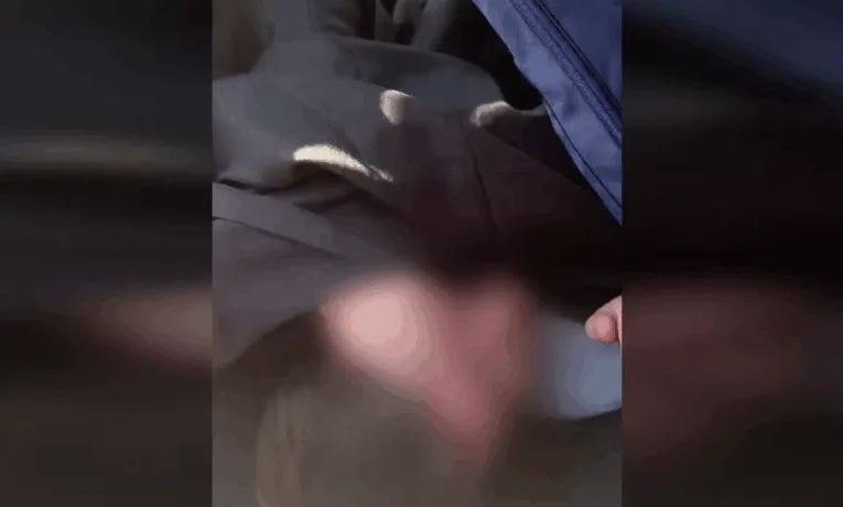 Священник УПЦ (МП) під рясами перевозив ухилянта