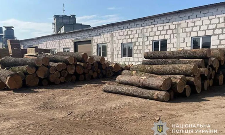Судитимуть «чорних» лісорубів, які на Тернопільщини наробили збитків на 3 млн грн