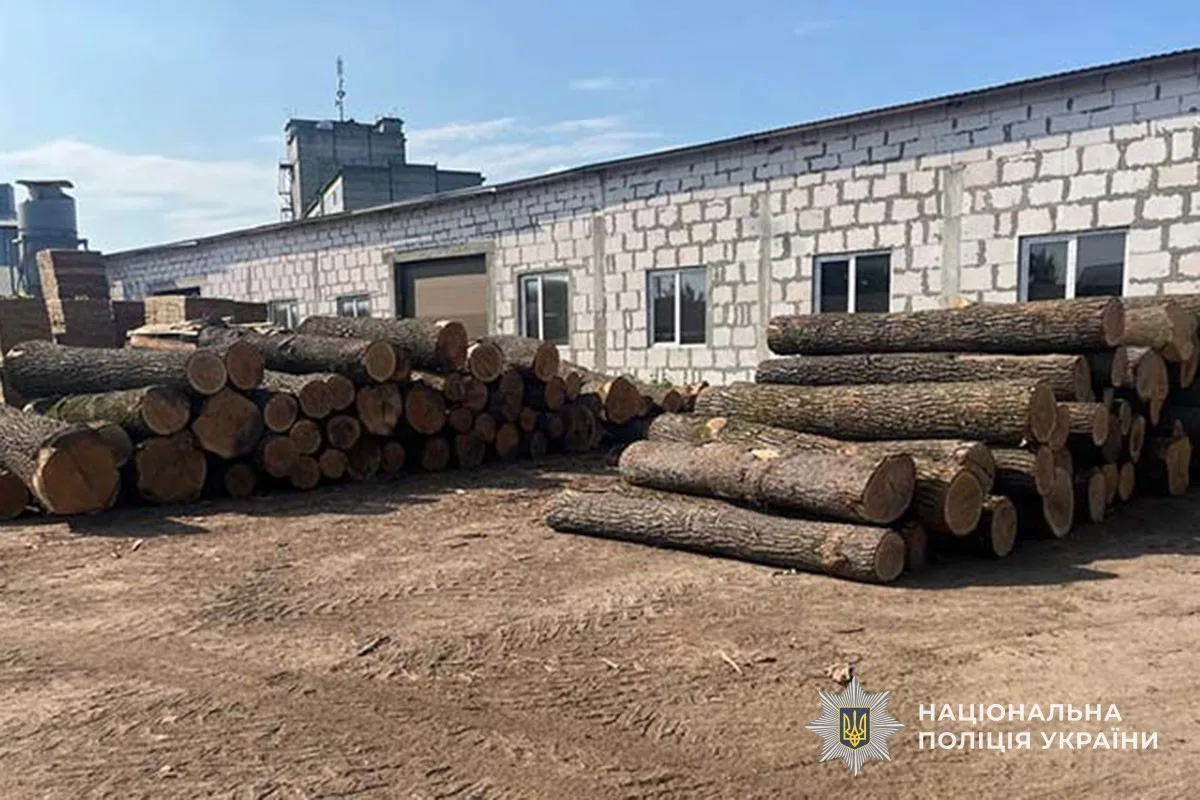 Судитимуть «чорних» лісорубів, які на Тернопільщини наробили збитків на 3 млн грн