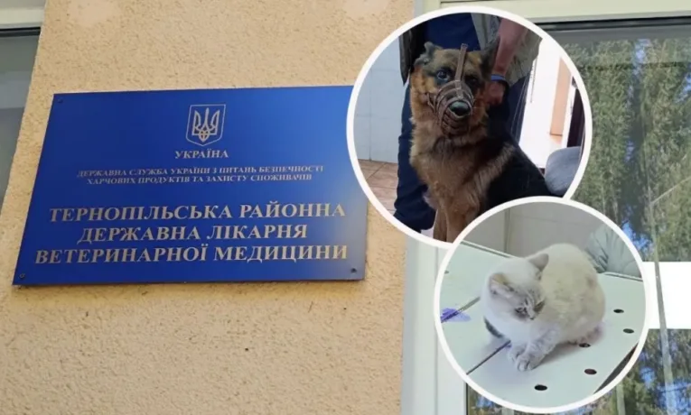щепили від сказу