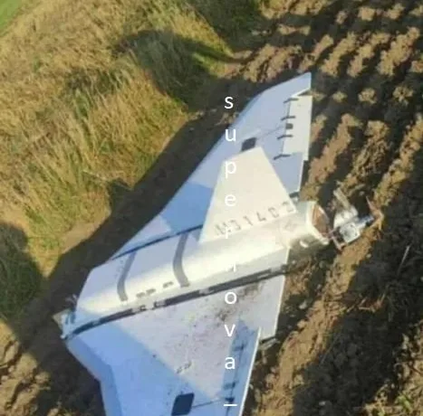 Поява російських «шахедів» у Польщі була лише питанням часу
