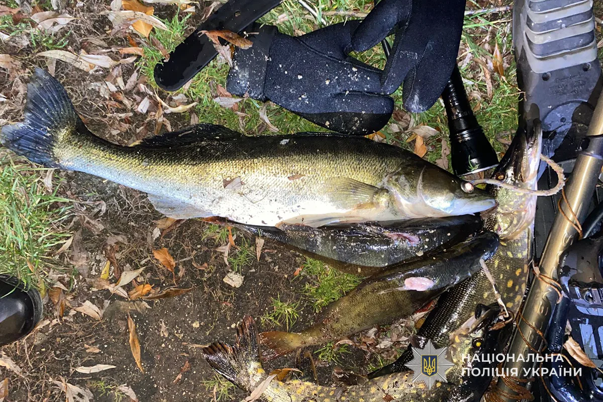 На Тернопільському ставі нацгвардійці затримали підводних мисливців