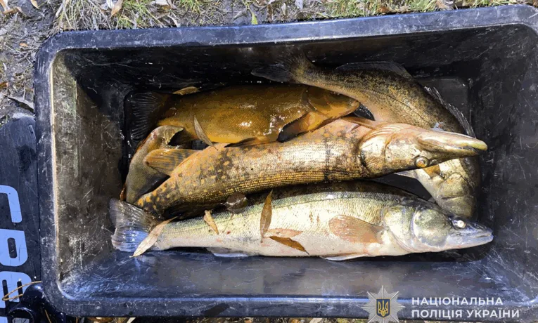 На Тернопільському ставі нацгвардійці затримали підводних мисливців