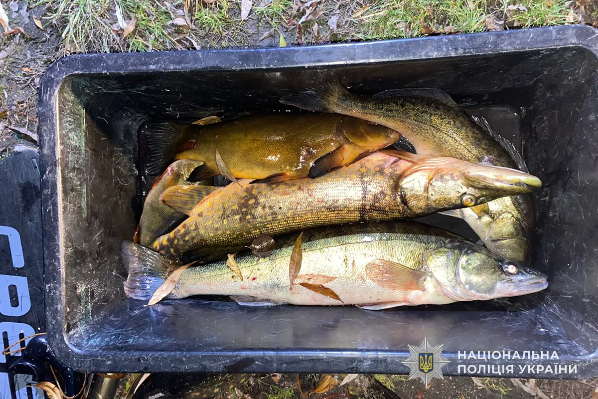 На Тернопільському ставі нацгвардійці затримали підводних мисливців