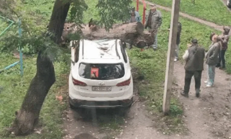 У центрі Тернополя дерево розтрощило припаркований автомобіль
