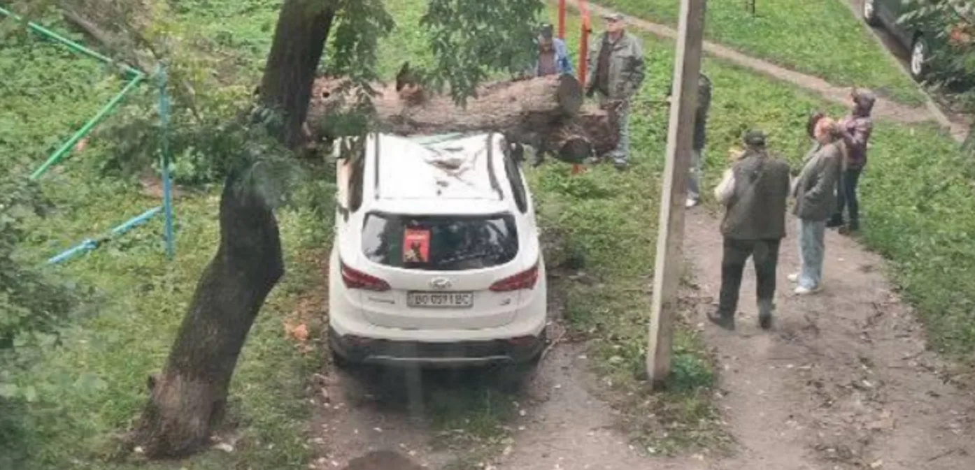 У центрі Тернополя дерево розтрощило припаркований автомобіль