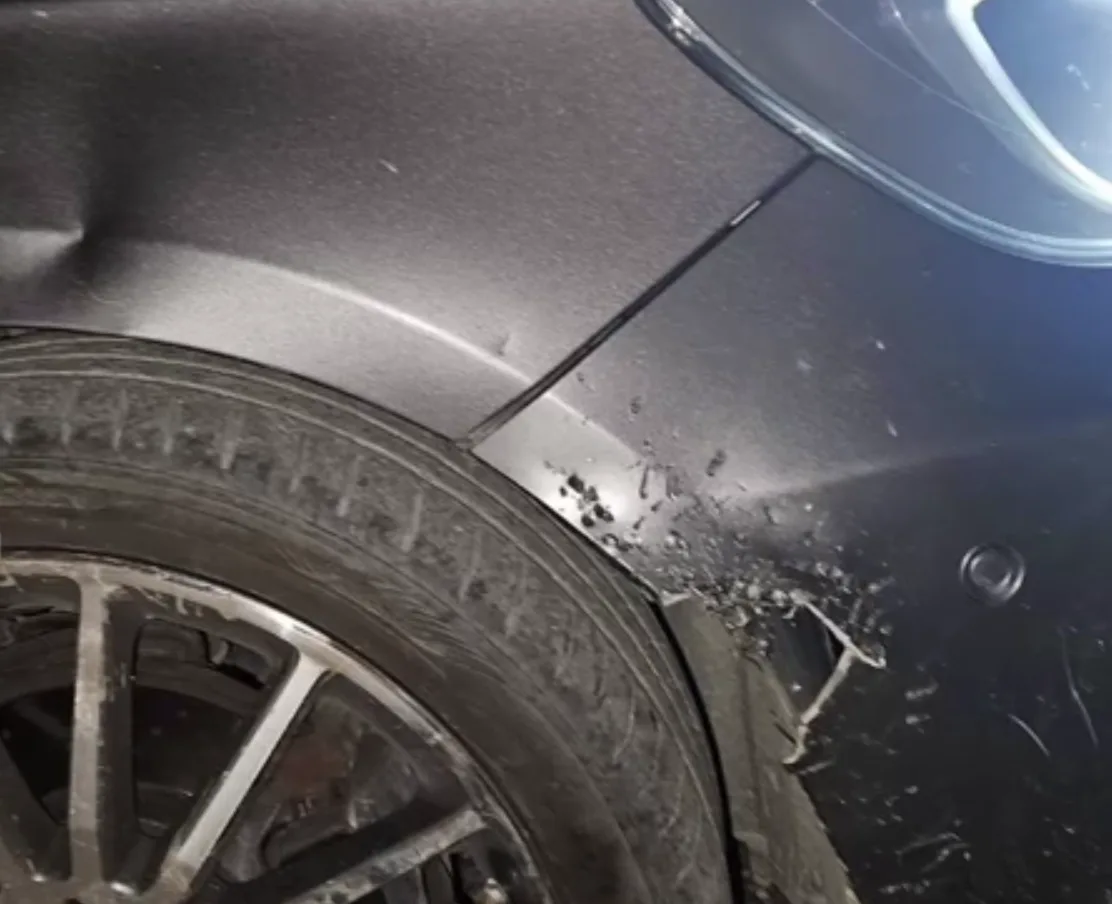 У Тернополі пси пошкодили автомобіль жінці: погризли колесо, бампер та крило