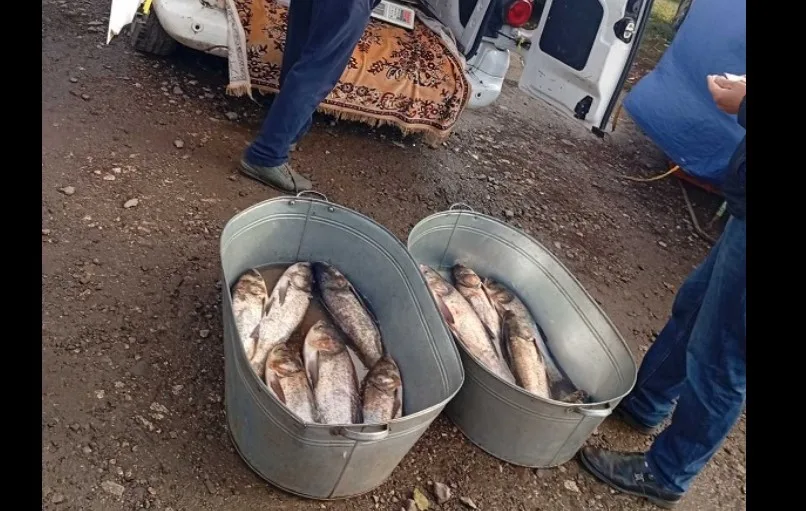 На Тернопільщині рибоохоронний патруль виявив браконєрів з сітками