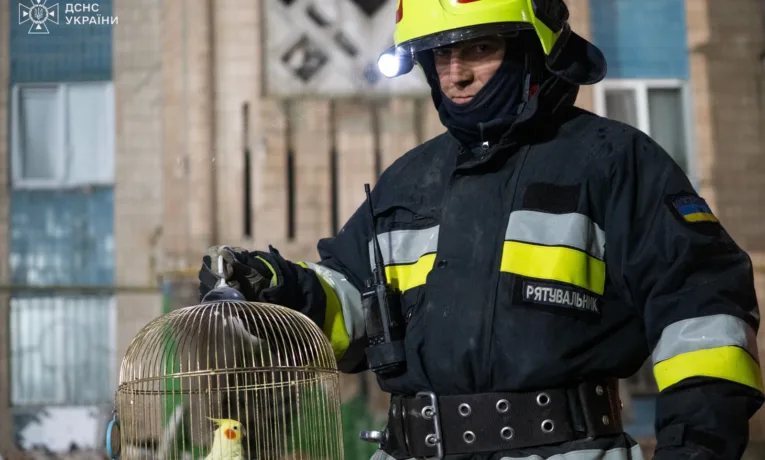 У Тернополі на місці прильоту серед руїн знайшли живого папугу