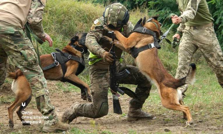 Репортаж із навчально-тренувального центру Сил спеціальних операцій про знамениту психологічну смугу перешкод