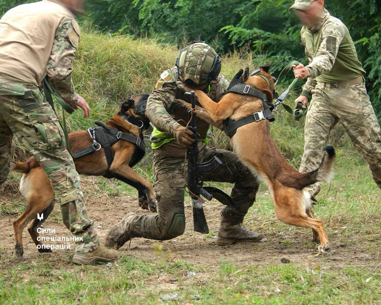 Репортаж із навчально-тренувального центру Сил спеціальних операцій про знамениту психологічну смугу перешкод