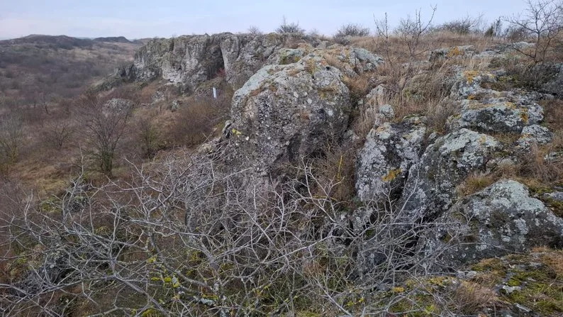 Музикова скала