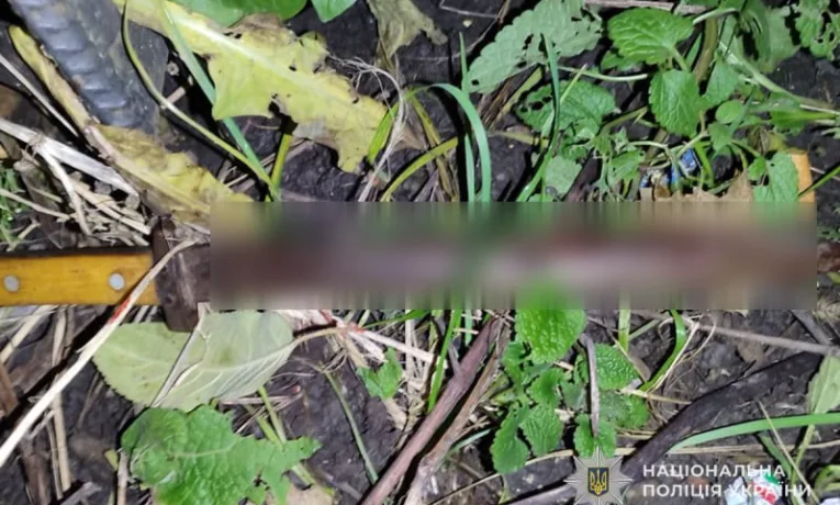 зарізав сусіда