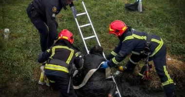 жінка впала