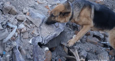 безвісти зниклі