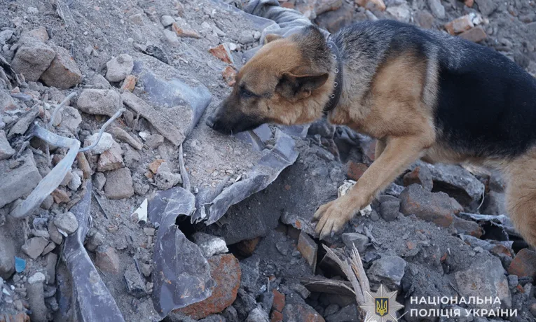 безвісти зниклі