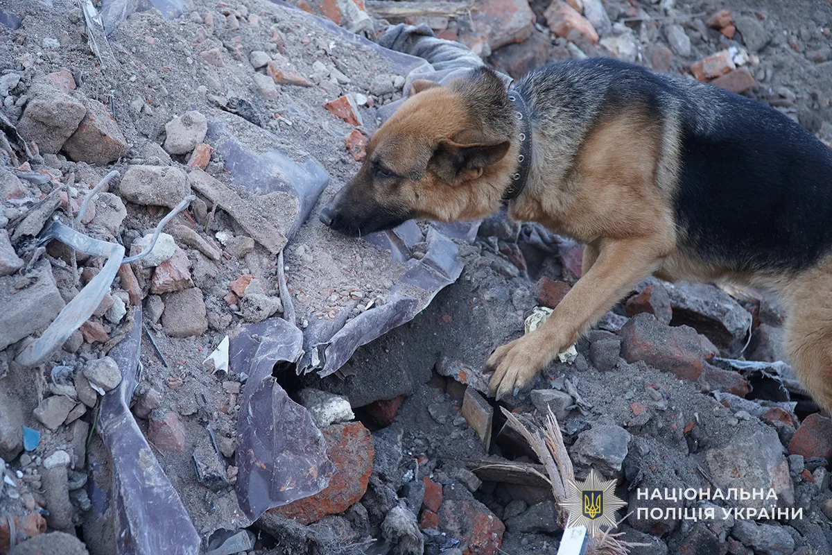 безвісти зниклі