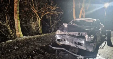 Skoda врізалася