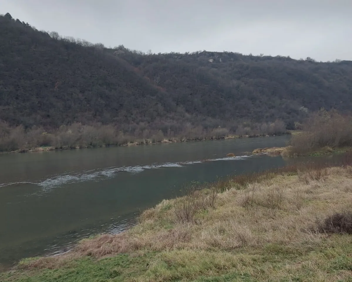 Скидання стоків