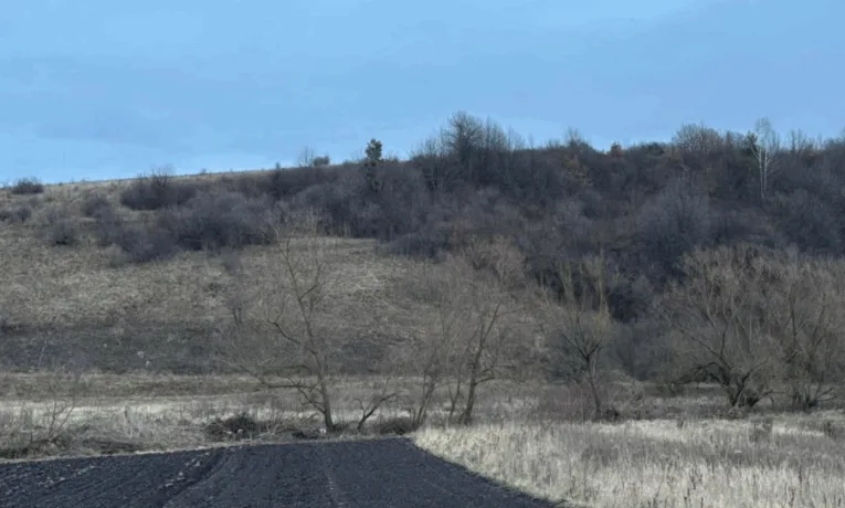 бездіяльність Монастириської міськради