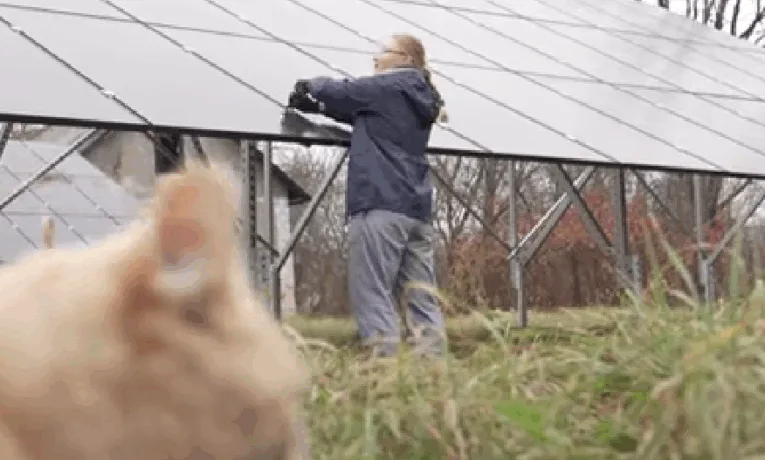 У Чортківській лікарні сонячні панелі економлять пів мільйона гривень на рік