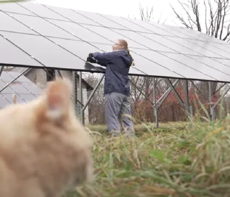 У Чортківській лікарні сонячні панелі економлять пів мільйона гривень на рік