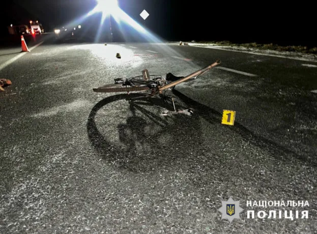 На Лановеччині п’яний студент збив на смерть багатодітну матір: хлопця судили