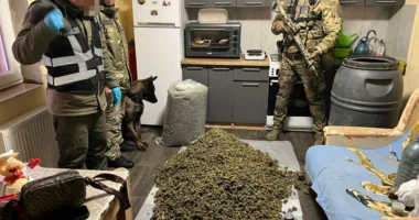 На Тернопільщині викрито наркоторговців, у яких вилучили 25 кг канабісу на 9 млн грн